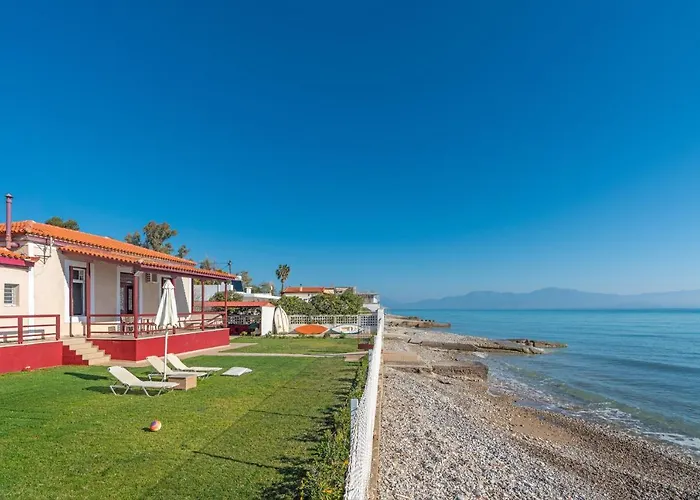 Angelos * Νεράντζα